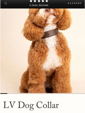 New Vintage Boho Louis Vuitton Brown Monogram Dog Collar